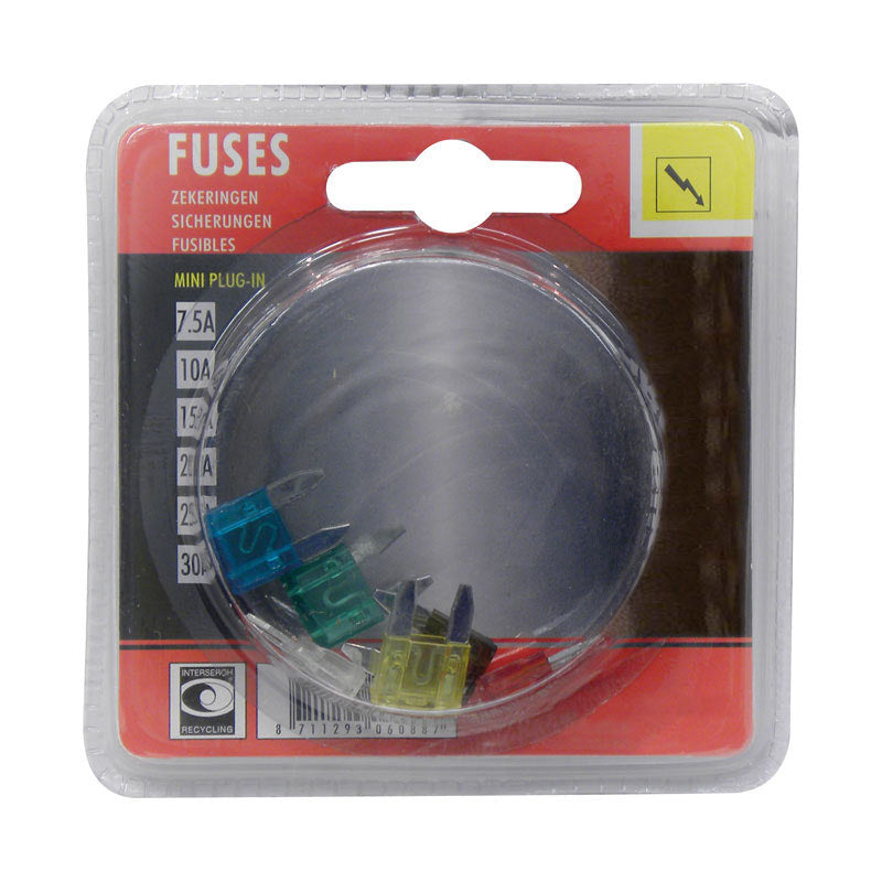 Carpoint, Kit Fusibili Lamellari Mini, 6 pezzi